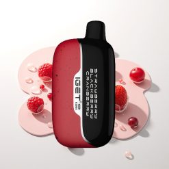 IGET Moon K5000 Braškių Gervuogių Spanguolių PC 1.35 Ohm