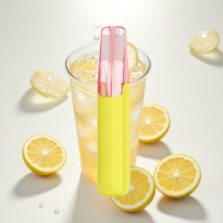 Snowplus Dash 4000 Citrinų Ledų Arbata Keraminė 530 mAh