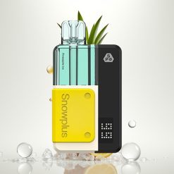 Snowplus Swift 5000 Ananasų Ledas Dual Mesh 1000 mAh