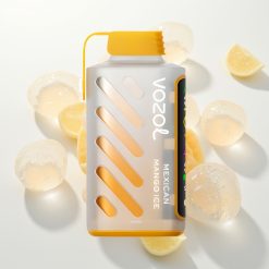 VOZOL Gear Power 20000 Mangų Ledinis su Dual Mesh Coil ir 20mL