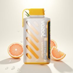 VOZOL Gear Power 20000 Mango Ananasas Greipfrutas su Dual Mesh Coil ir 20mL