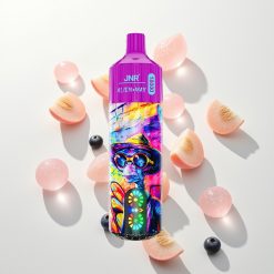 JNR Alien Max 18000 Persikų Mėlynųjų Uogų Saldainiai su Dviguba Gardelės Ritė ir 20 Skonių