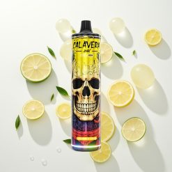 JNR Calavera 11000 Citrinų & Žalčių 850 mAh 21ml