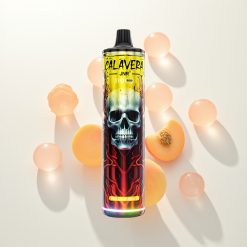 JNR Calavera 11000 Persikas Mango Tipas-C 21ml