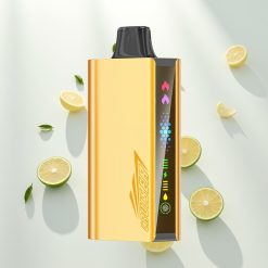 JNR Cruiser 12000 Šalta Mėta su Dviguba Tinklele ir Animaciniu Ekranu