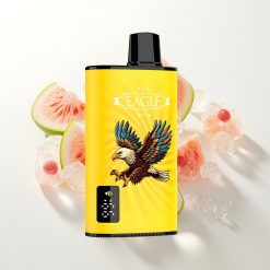 JNR EAGLE Smart 23000 Kiwi Arbūzas Ledas 750mAh 25ml