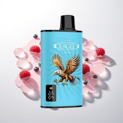 JNR EAGLE Smart 23000 Mėlynųjų serbentų rūgščiosioms avietėms 1.0ohm tinklelio ritė ir 750mAh baterija