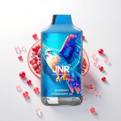 JNR Falcon 16000 Mėlynųjų serbentų granatinis ledas su 850 mAh ir dvigubu tinklelio apvijojimu