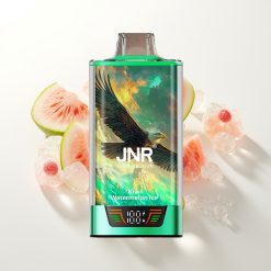 JNR Falcon Pro 28000 Kivi Arbūzas Ledas 30ml 5%