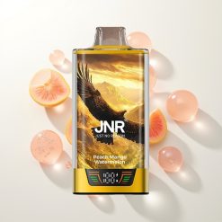 JNR Falcon Pro 28000 Persikas Mango Arbūzas 30ml 5%
