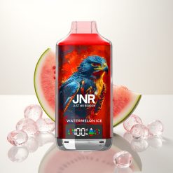 JNR Falcon X 18000 Arbūzo Ledas 750mAh Dual Mesh