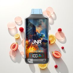 JNR Falcon X 18000 Mišrios Uogos 750mAh Tipo C