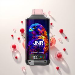 JNR Falcon X 18000 Uogų Uogienė 750mAh Tipo C