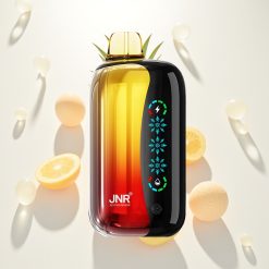 JNR Flex Ice 21000 Persikas Mango Ananasas Su Ledų Reguliavimu Ir 26ml Skysčio