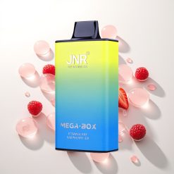 JNR Mega Box 25000 Braškių Aviečių Ledas 850mAh 30ml