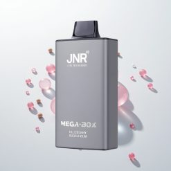 JNR Mega Box 25000 Mėlynųjų Serbentų Trapusis Kramtukas su 30ml Skysčio ir Greituoju Type-C Įkrovimu