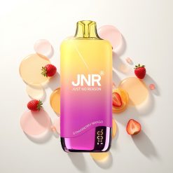 JNR Rainbow 10500 Braškinis Mango 600mAh 0.8ohm