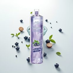 JNR Shisha Hookah 12000 Mėlynių Mėta su 750mAh ir 0.6 Ohm